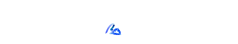 vs-logo-img